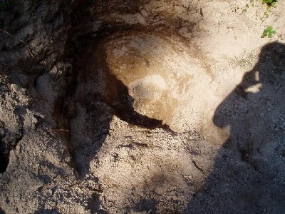 Another location that helped to close the Lolo Quartz Crystal area to Rockhounds!  (Photo:Missoula Ranger District)